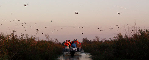 Esteros del Iberá