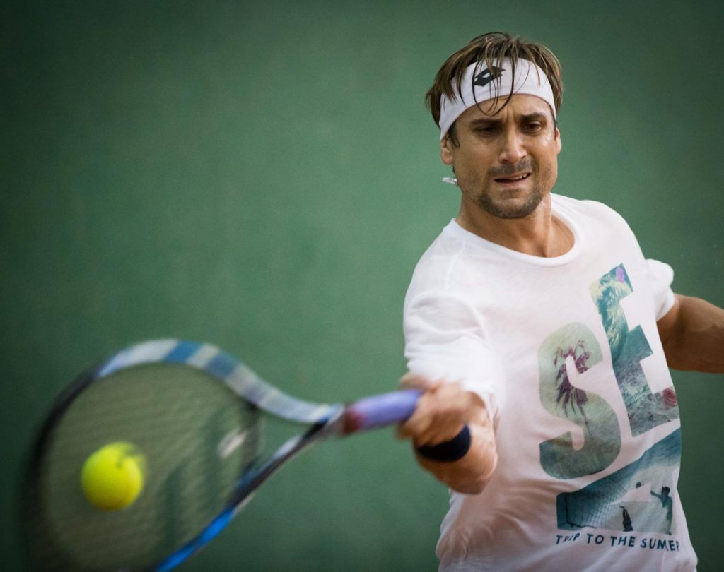 David Ferrer