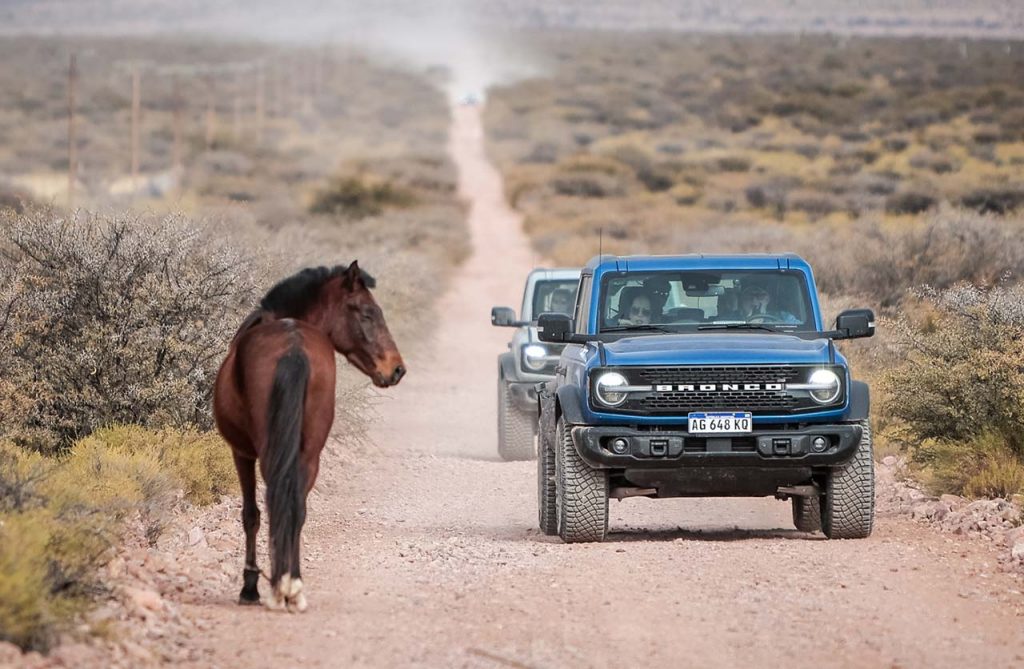 Ford Bronco Wildtrak V6